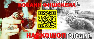 jwh Кингисепп