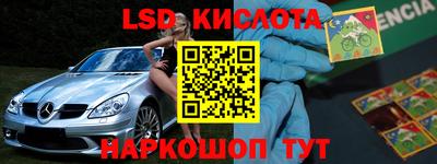 jwh Кингисепп