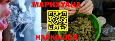 jwh Кингисепп