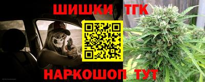 jwh Кингисепп