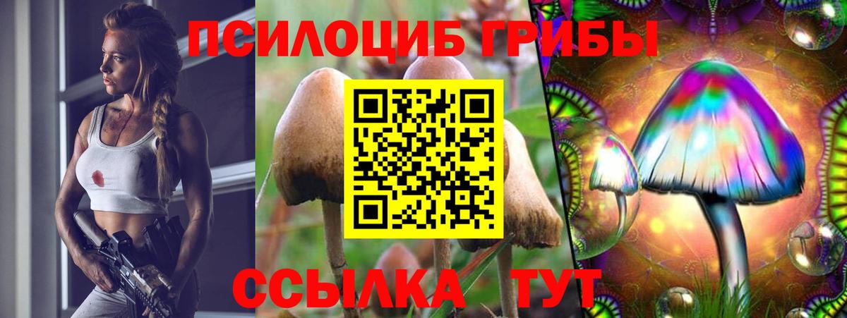 Псилоцибиновые грибы ЛСД  Вход с VPN  Кувандык 